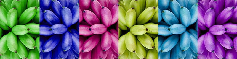 Wholesale Exotic Bananas Sydney NSW Wholesale Exotic Bananas Sydney NSW